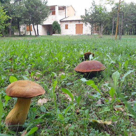 Villa Valeria Divšići Buitenkant foto